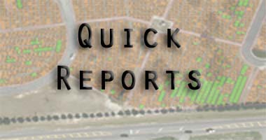 Quick Reports